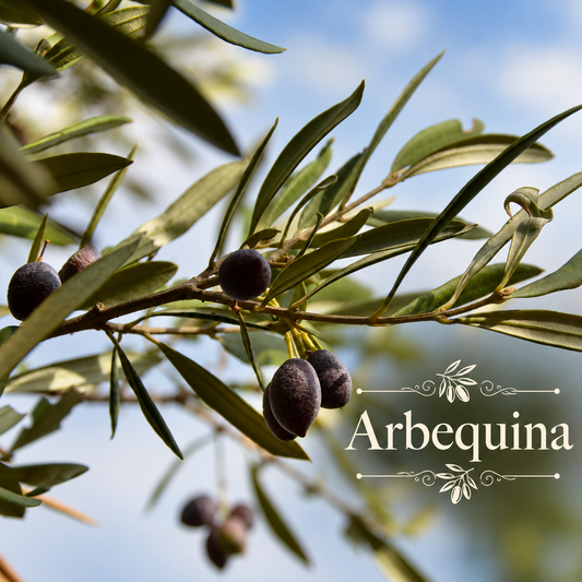 Artisan Olive Oil Orchard Kit