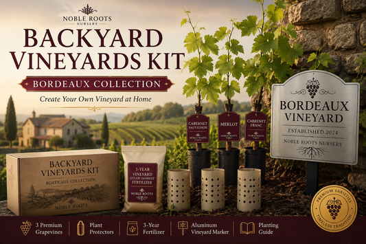 Bordeaux Rouge Vineyard Kit