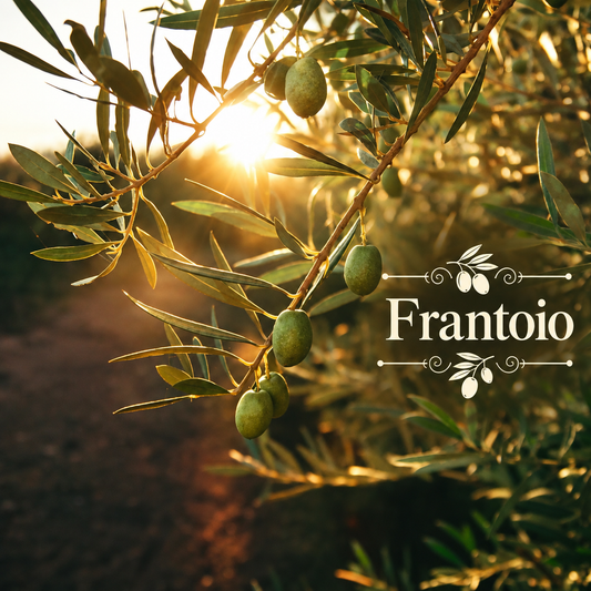 Italian Olive Oil Orchard Kit
