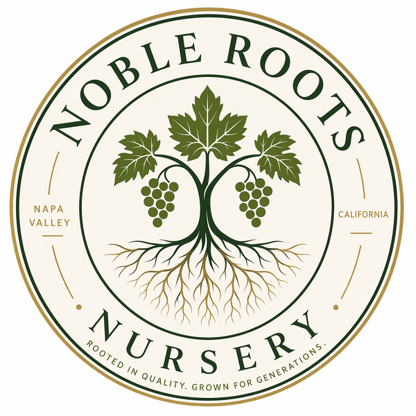 Noble Roots Nursery