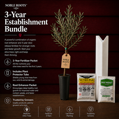 NR Olive Bundle - 3-Year Establishment Bundle