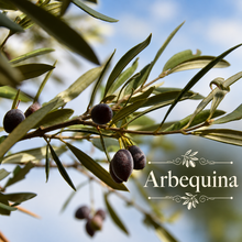 Artisan Olive Oil Orchard Kit