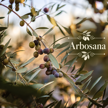 Artisan Olive Oil Orchard Kit