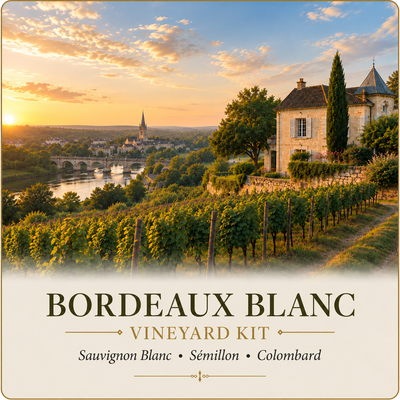 Bordeaux Blanc Vineyard Kit