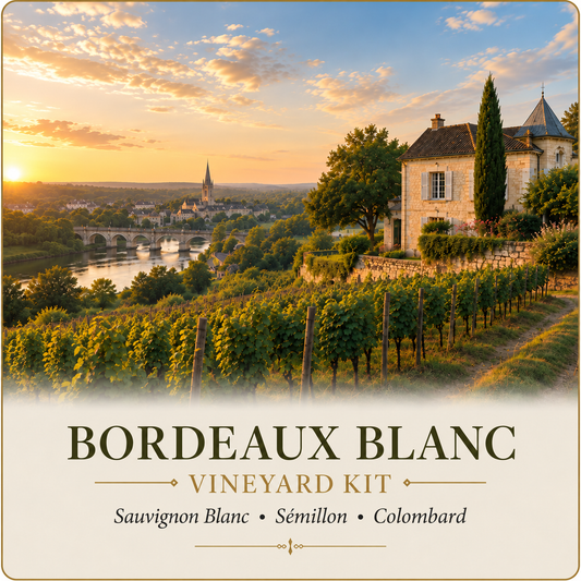 Bordeaux Blanc Vineyard Kit