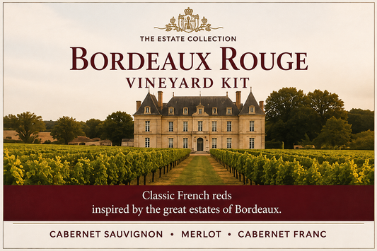 Bordeaux Rouge Vineyard Kit