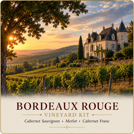 Bordeaux Rouge Vineyard Kit
