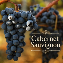 Bordeaux Rouge Vineyard Kit