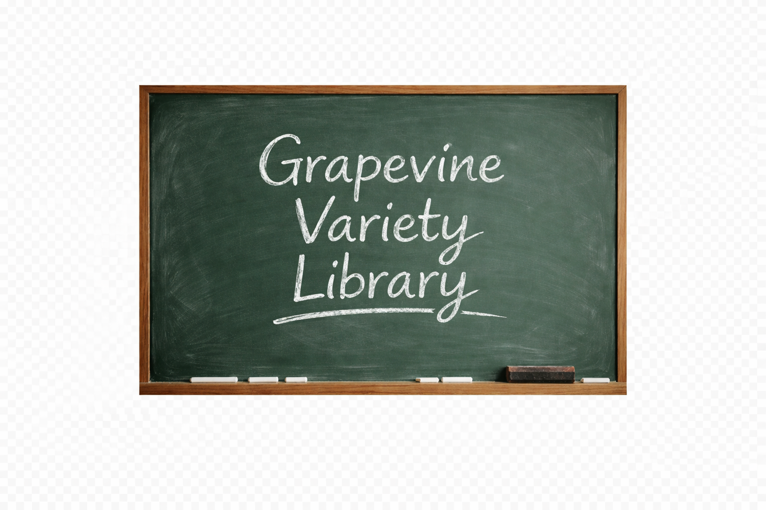 "Chalkboard with 'Grapevine Variety Library' written in white chalk, representing the main page for exploring grapevine varieties and their information."