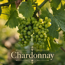 California Coastal Vineyard Kit