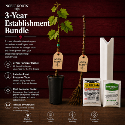 NR Bundle - 3-Year Establishment Bundle