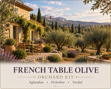 French Table Olive Orchard Kit