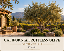 California Fruitless Olive Orchard Kit