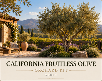 California Fruitless Olive Orchard Kit