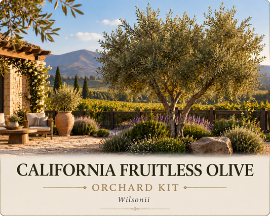 California Fruitless Olive Orchard Kit
