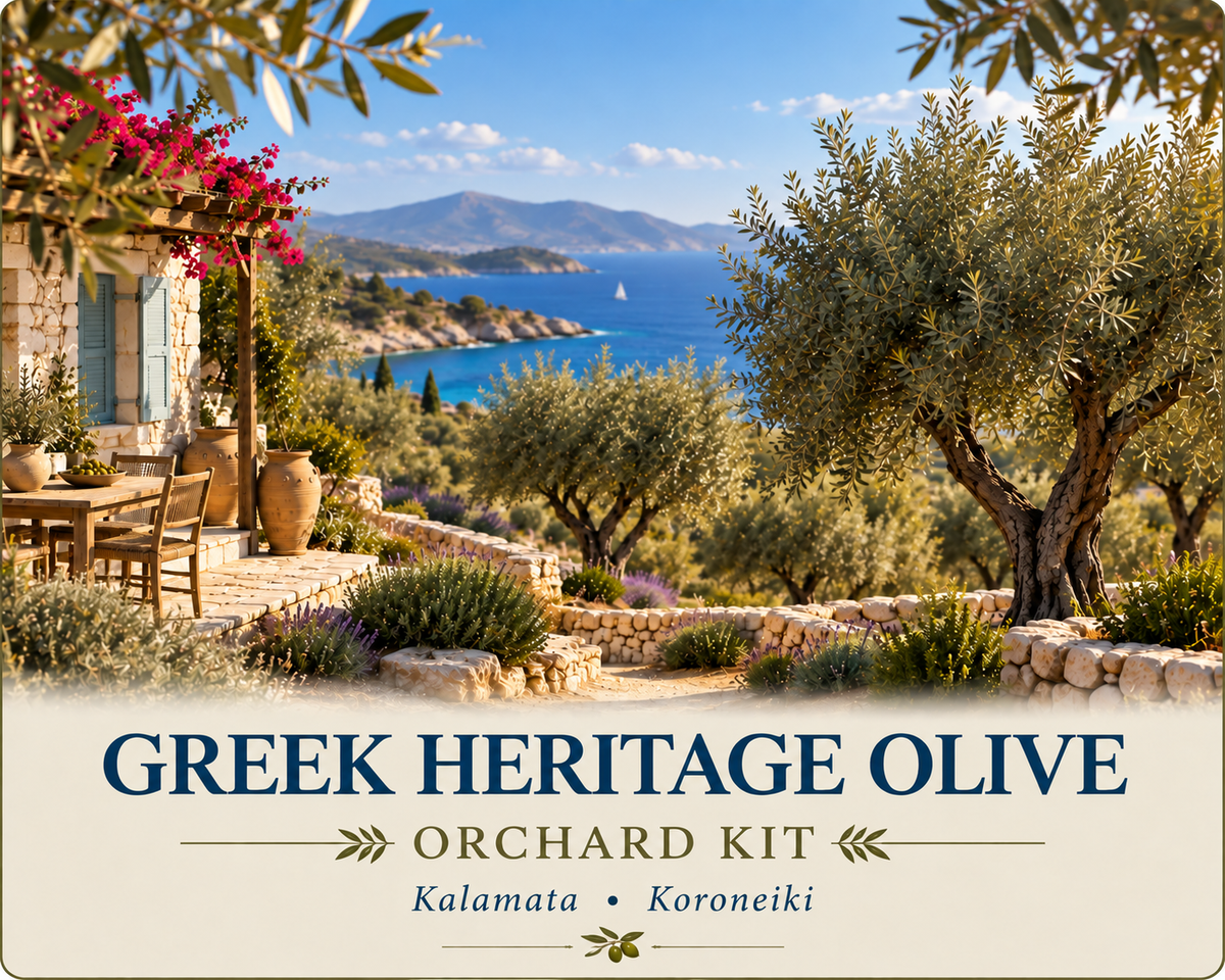 Greek Heritage Olive Orchard Kit
