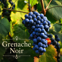 Rhône Rouge Vineyard Kit