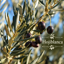 Spanish Table Olive Orchard Kit