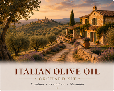 Italian Olive Oil Orchard Kit