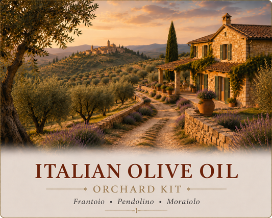 Italian Olive Oil Orchard Kit