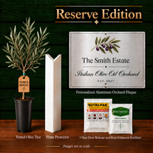 Artisan Olive Oil Orchard Reserve Edition