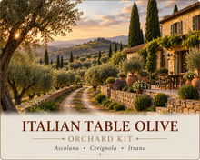 Italian Table Olive Orchard Kit