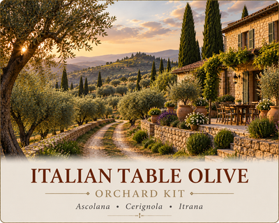 Italian Table Olive Orchard Kit