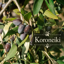 Artisan Olive Oil Orchard Kit
