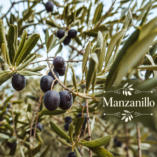 Spanish Table Olive Orchard Kit
