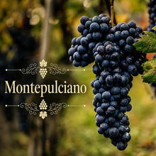 Italian Rosso Vineyard Kit
