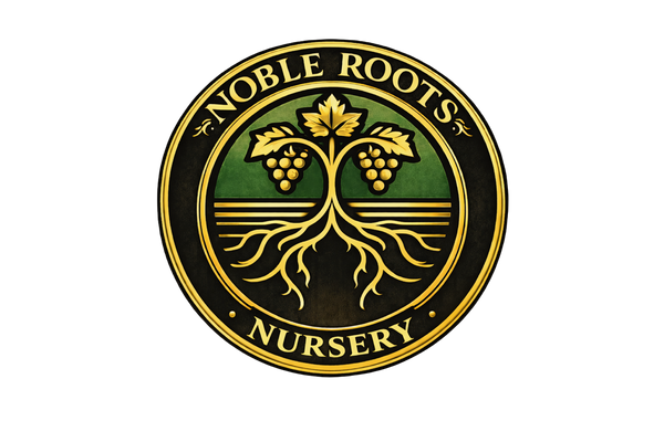 Noble Roots Retail Grapevine Nursery