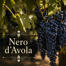 Italian Rosso Vineyard Kit