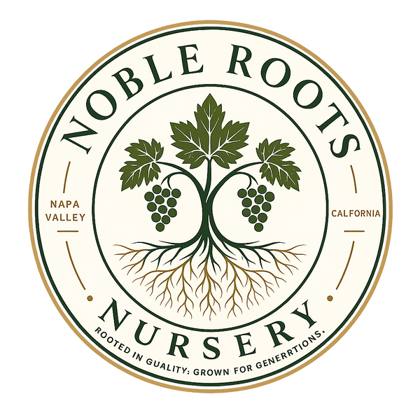 Noble Roots California Grapevine Nursery