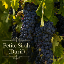 California Heritage Vineyard Kit