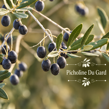 French Table Olive Orchard Kit