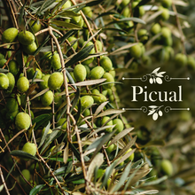 Spanish Olive Oil Orchard Kit