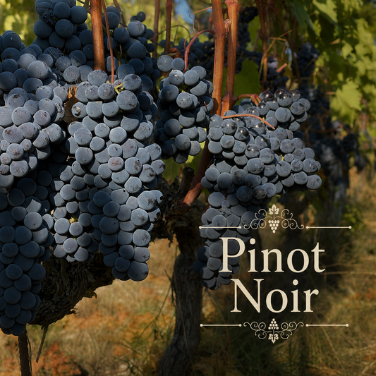 California Coastal Vineyard Kit