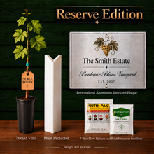 Bordeaux Blanc Reserve Edition