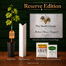 Italian Bianco Reserve Edition