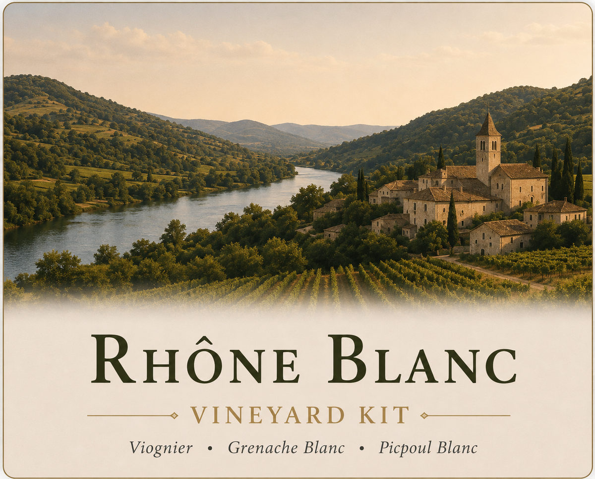 Rhône Blanc Vineyard Kit