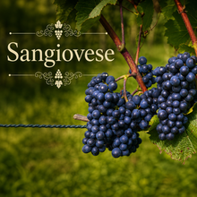 Italian Rosso Vineyard Kit