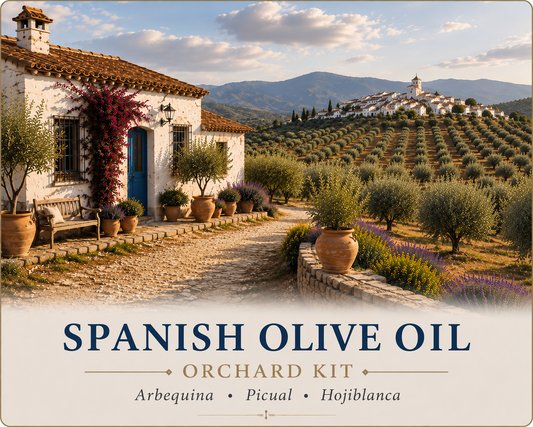 Spanish Olive Oil Orchard Kit