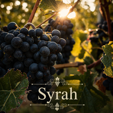 California Coastal Vineyard Kit