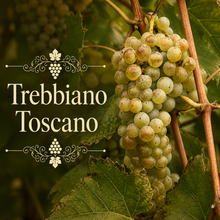 Italian Bianco Vineyard Kit