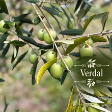 French Table Olive Orchard Kit