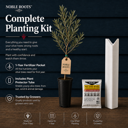 NR Olive Bundle - Complete Planting Kit